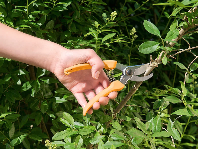 Royal Gardineer Astschere:Bypass-Gartenschere Mit Hochwertigen Carbonstahl-Klingen, 19 Cm â Bild 4