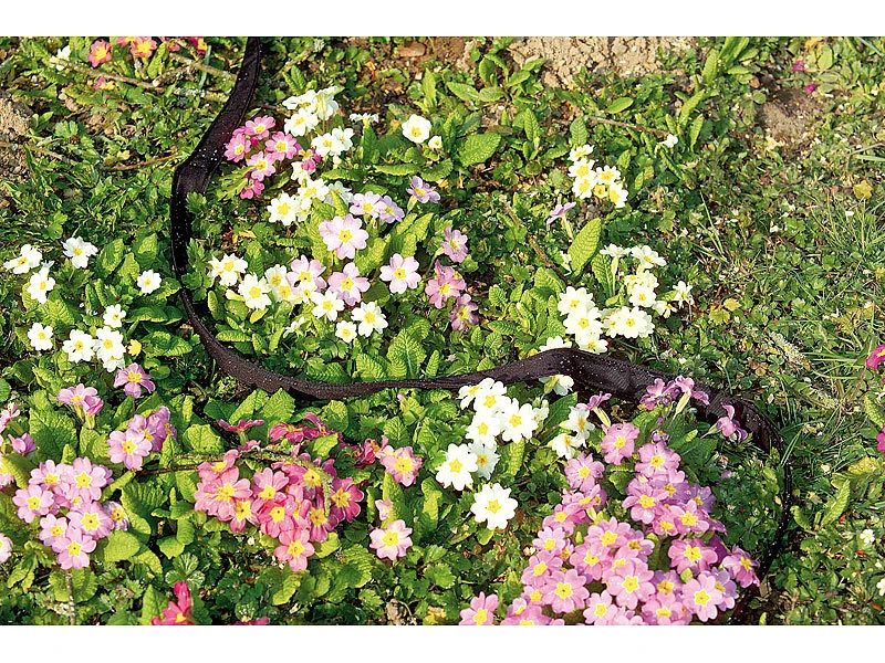 Royal Gardineer Gartenschlauch:2er-Set PerlschlĂ€uche "Eco" Flach, Inkl. Stopp-Ventil-Kupplungen, 12 M â Bild 4