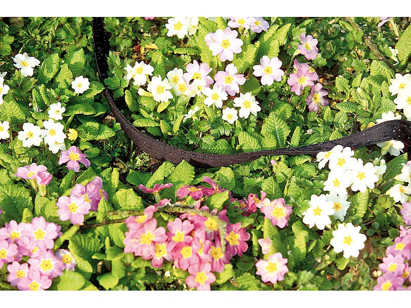 Royal Gardineer Gartenschlauch:2er-Set PerlschlĂ€uche "Eco" Flach, Inkl. Stopp-Ventil-Kupplungen, 12 M â Bild 5