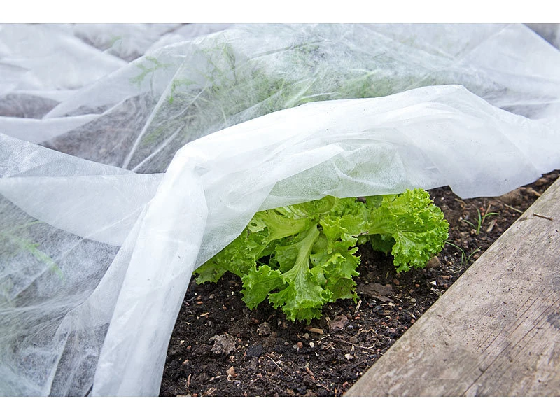 Royal Gardineer Frostschutz-Gartenvliese:8er-Set Frostschutz-Gartenvlies Für Mikroklima, Je 10 X 1,6 M, 17 GSM – Bild 7