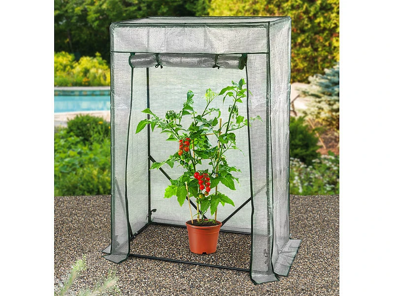 Royal Gardineer Tomatenhaus:Tomaten-Folien-Gewächshaus, Aufrollbare Tür, 100 X 150 X 50 Cm, Weiß – Bild 4