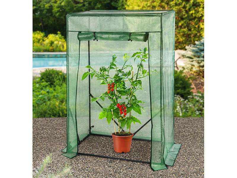 Royal Gardineer Tomaten-Folien-Gewächshaus, Aufrollbare Tür, Versandrückläufer – Bild 4